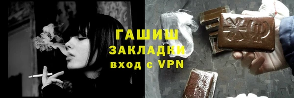 гидра Богородск