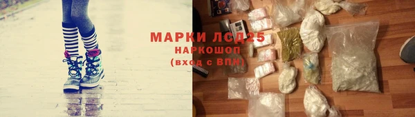 гидра Богородск