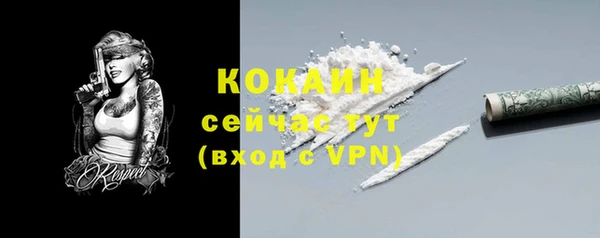 гидра Богородск