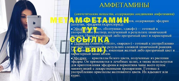 гидра Богородск