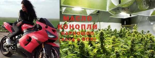 гидра Богородск