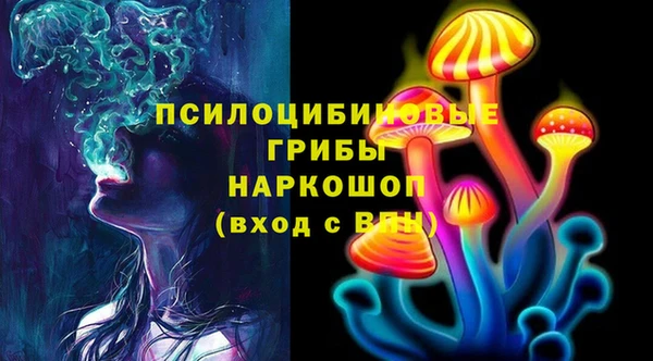 гидра Богородск