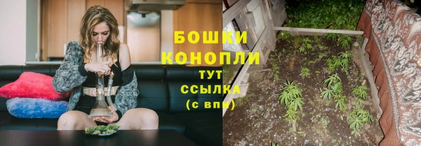 гидра Богородск