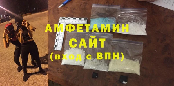 гидра Богородск